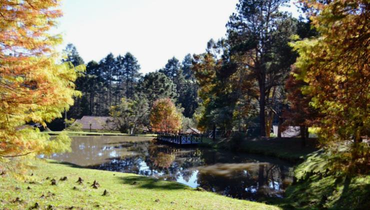 Inverno em SP: as belezas da região serrana e do circuito das águas